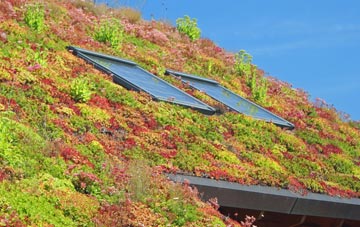 Upper Midhope living roof systems